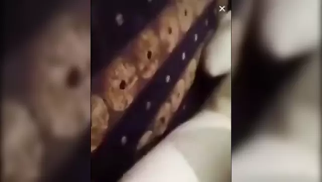 Молодые лезгины засняли домашний минет
